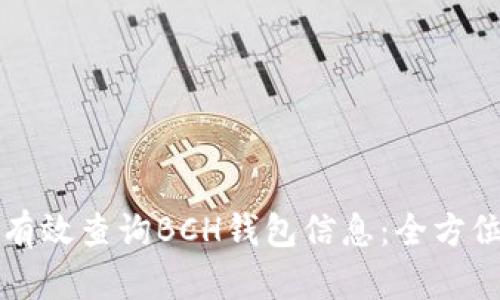 如何有效查询BCH钱包信息：全方位指南