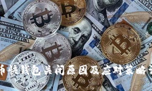 货币快钱包关闭原因及应对策略详解