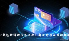 TP钱包被清理了怎么办? 解决方案及预防措施
