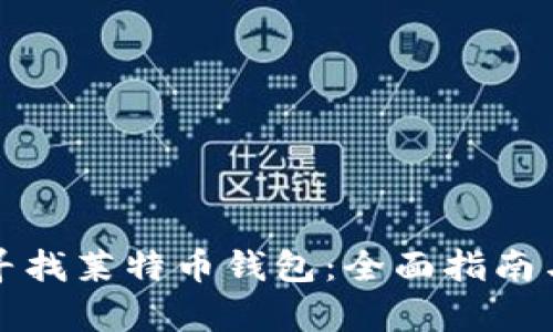 如何有效寻找莱特币钱包：全面指南与最佳实践