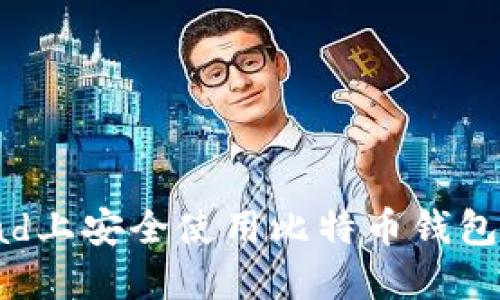 如何在iPad上安全使用比特币钱包：全面指南