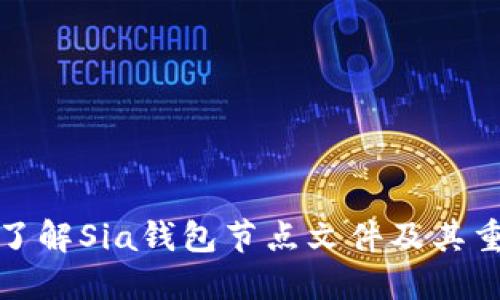 深入了解Sia钱包节点文件及其重要性
