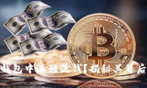 如何在同一个钱包中进行洗钱？揭秘其背后的操作和风险