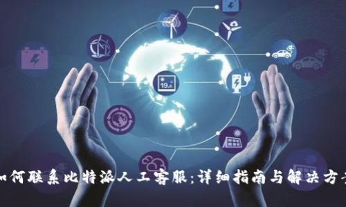 如何联系比特派人工客服：详细指南与解决方案
