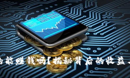 TP真的能赚钱吗？揭秘背后的收益与风险