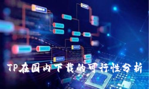 TP在国内下载的可行性分析